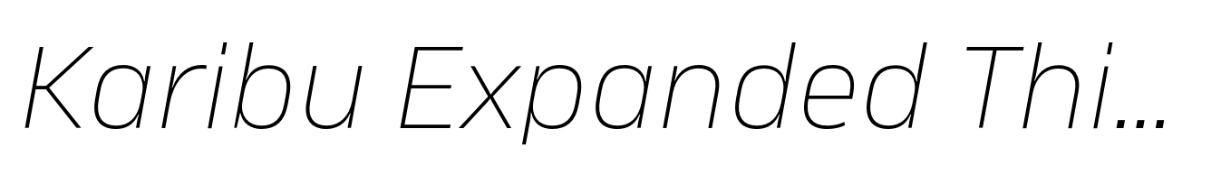 Karibu Expanded Thin Italic